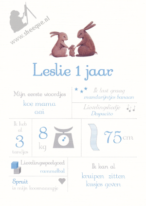 Mijlpalenposter